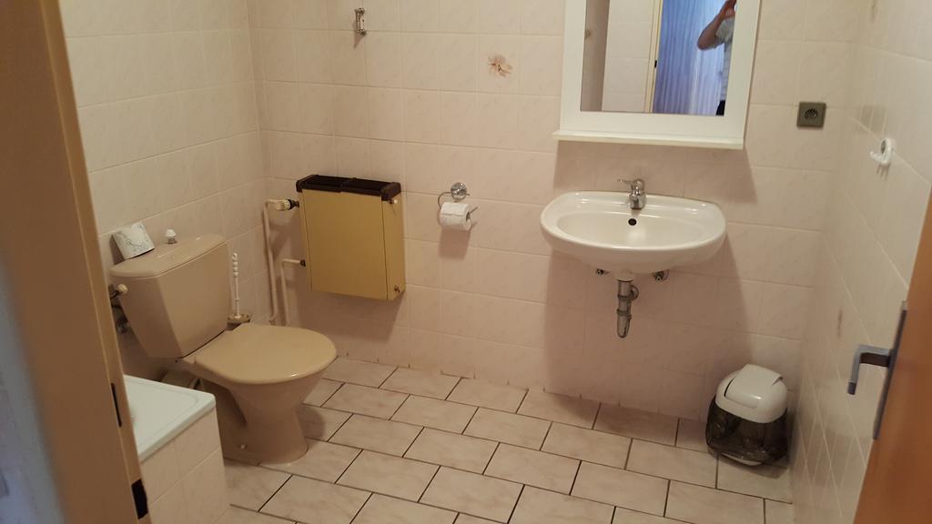 Pension U Dubu Františkovy Lázně エクステリア 写真